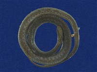 藏品(外國蛇)的圖片